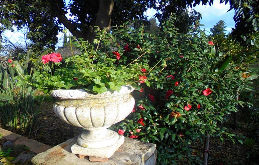 Baglio Delle Rose Frühstückspension 3*