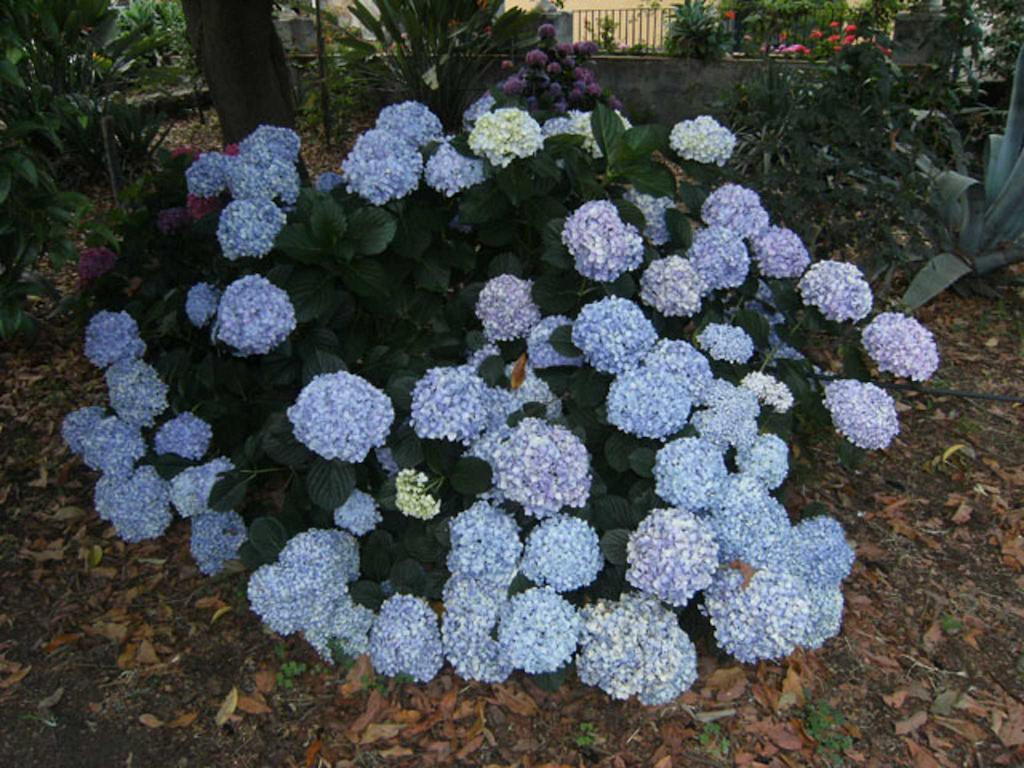 Baglio Delle Rose 3* Giarre