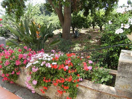 Baglio Delle Rose Giarre