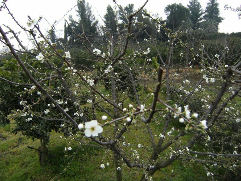 Baglio Delle Rose 3* Giarre